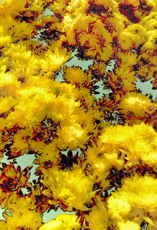 Yellow Heap