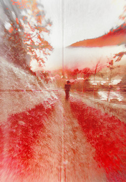 Crosswalk — Portrait