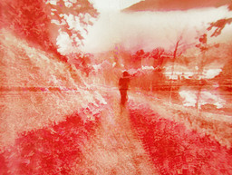 Crosswalk — Landscape