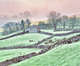 Mint Farm — Original