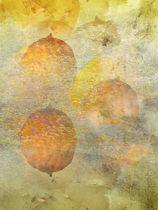 Passion Fruit (Orangey)