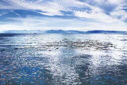 Salish Sea (Impression)