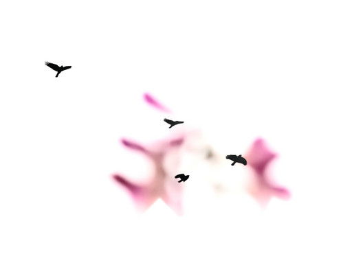 Anaheim Bird (Landscape)
