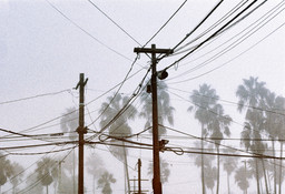 Phone Lines