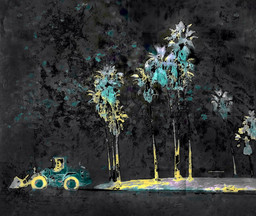 Palm Truck — Nightworks
