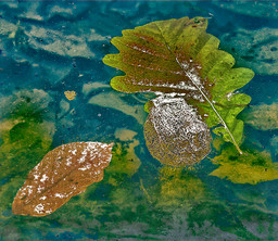 Puddle