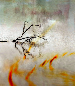 Charred Branch