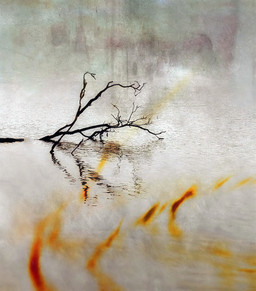 Charred Branch