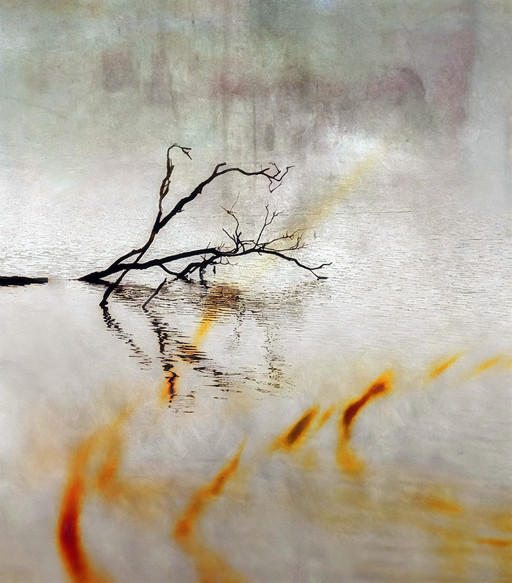 Charred Branch