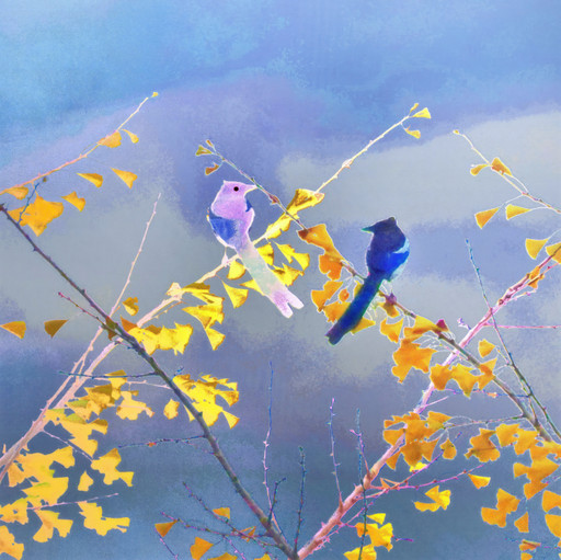 Magpies
