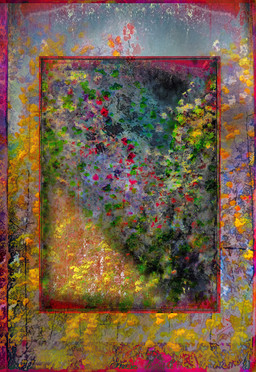 Night vs. Flowers