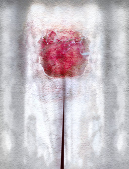 Rose Pyre