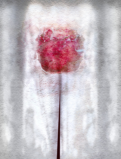 Pyrose (Rose Pyre)
