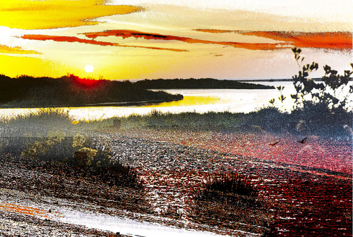 Stylized Evening