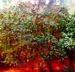 Treehouse — Shana