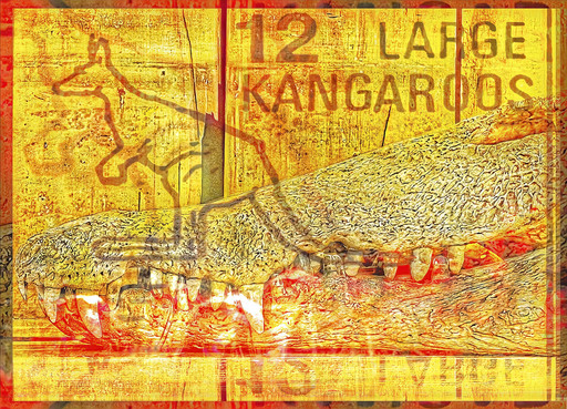 Three Large Cangaroos