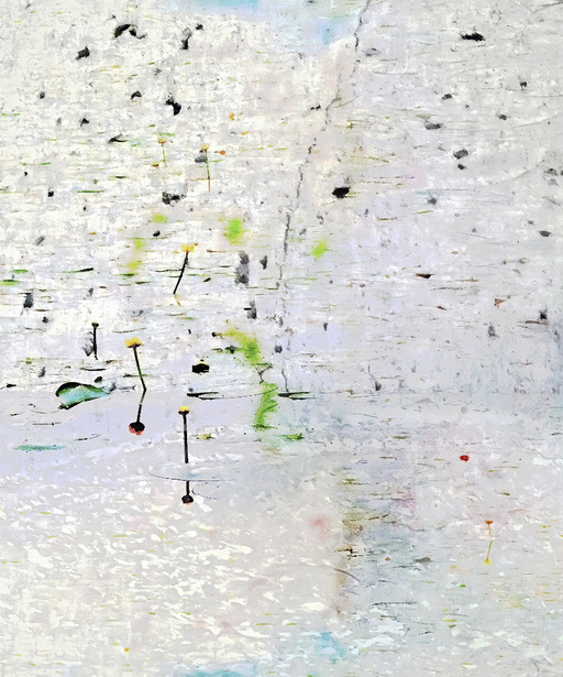 Nenuphars in White Water