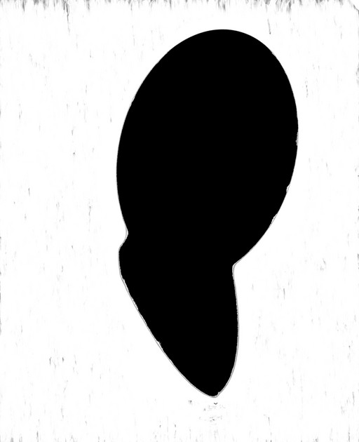 Her Essence (Monochrome)