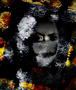 Her Darkness — Organic