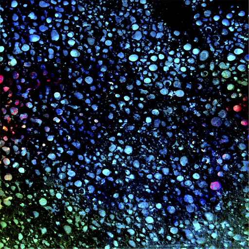 Dropdots