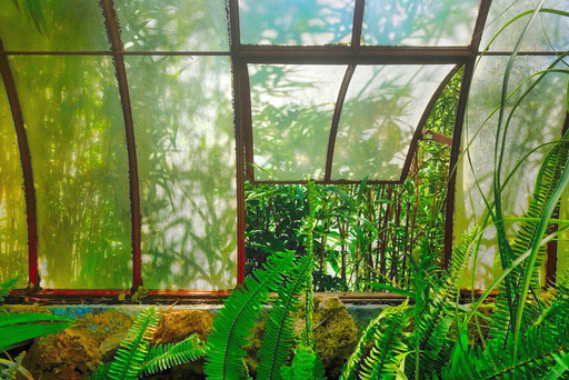 Greenhouse