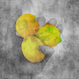 Lemons