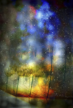 Garden Window — Dark