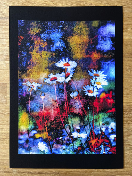 Daisy Knights 18 x 24.6cm on Marrutt SFAP A4 BLK background – Photo 1